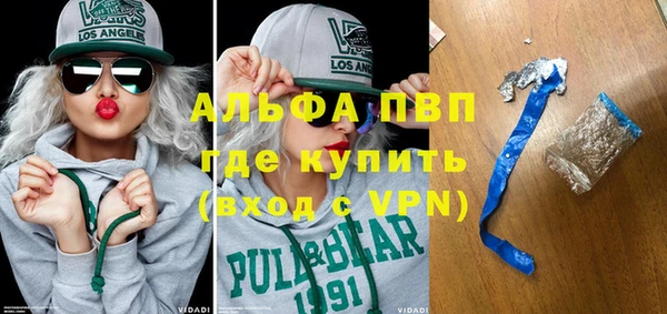 прущие крисы Белокуриха
