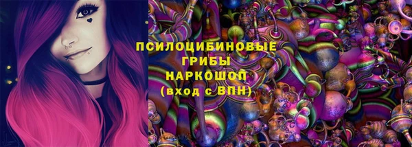 прущие крисы Белокуриха